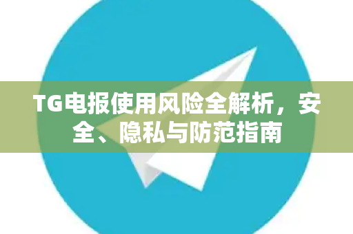 TG电报使用风险全解析，安全、隐私与防范指南