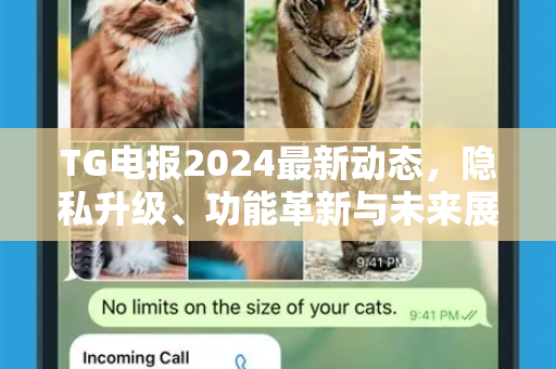 TG电报2024最新动态，隐私升级、功能革新与未来展望