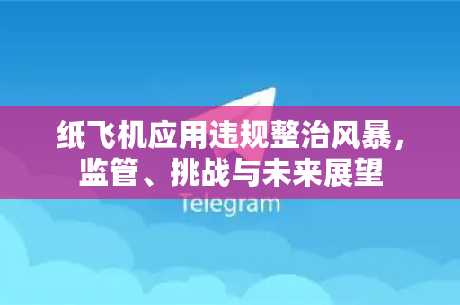 纸飞机应用违规整治风暴，监管、挑战与未来展望