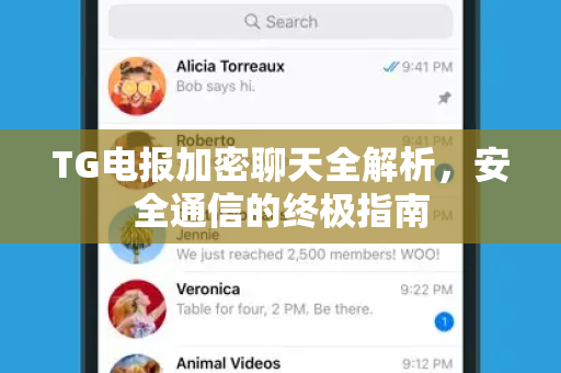 TG电报加密聊天全解析，安全通信的终极指南