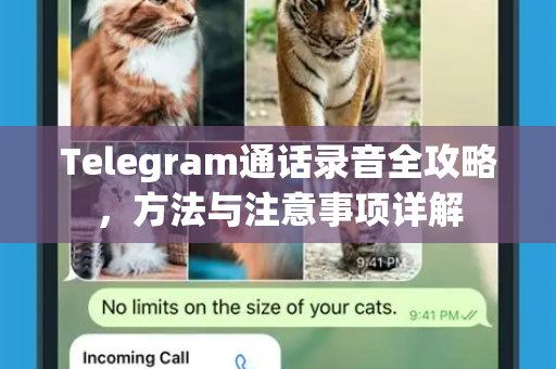 Telegram通话录音全攻略，方法与注意事项详解-第1张图片-Telegram官网-纸飞机官网下载-多平台官方版本