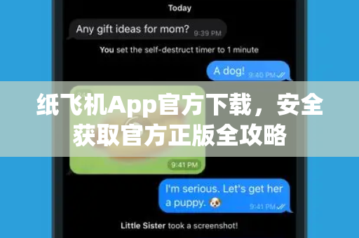 纸飞机App官方下载，安全获取官方正版全攻略