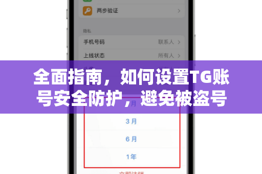 全面指南，如何设置TG账号安全防护，避免被盗号