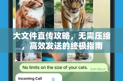 大文件直传攻略，无需压缩，高效发送的终极指南-第1张图片-Telegram官网-纸飞机官网下载-多平台官方版本