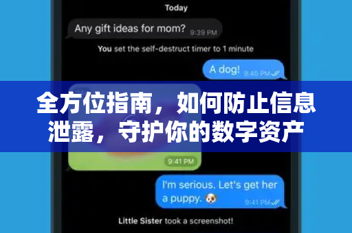 全方位指南，如何防止信息泄露，守护你的数字资产-第1张图片-Telegram官网-纸飞机官网下载-多平台官方版本