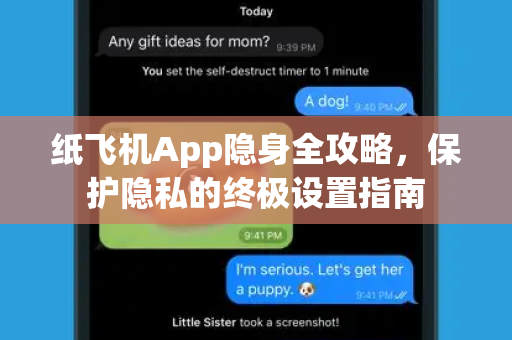 纸飞机App隐身全攻略，保护隐私的终极设置指南