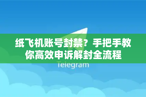 纸飞机账号封禁？手把手教你高效申诉解封全流程