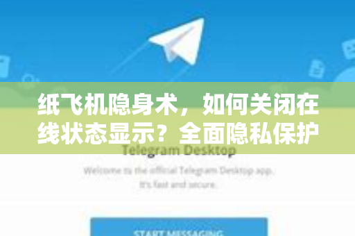 纸飞机隐身术，如何关闭在线状态显示？全面隐私保护指南