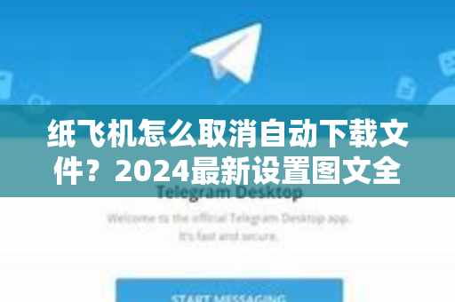 纸飞机怎么取消自动下载文件？2024最新设置图文全解与常见问题汇总