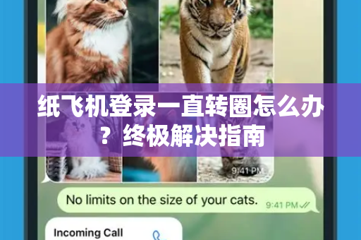 纸飞机登录一直转圈怎么办？终极解决指南