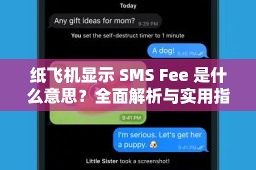 纸飞机显示 SMS Fee 是什么意思？全面解析与实用指南