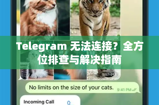Telegram 无法连接？全方位排查与解决指南